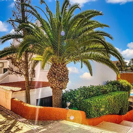 Club Free Wifi San Miguel de Abona